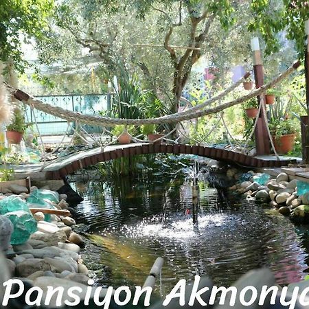 Akmonya Pansiyon Eriklice ภายนอก รูปภาพ
